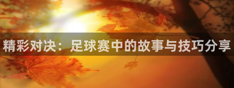 风速体育006直播篮球：精彩对决：足球赛中的故事与技巧分享