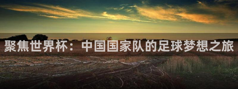 风速体育英超：聚焦世界杯：中国国家队的足球梦想之旅