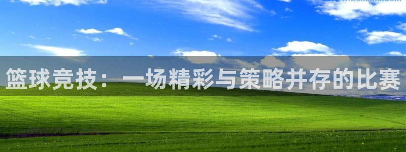 风速体育视频：篮球竞技：一场精彩与策略并存的比赛