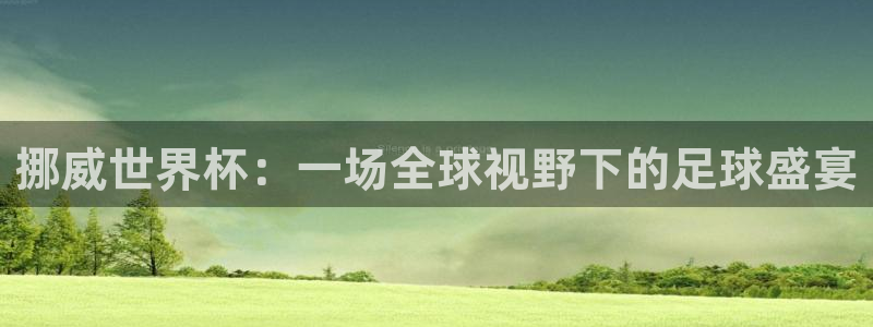风速体育直播间：挪威世界杯：一场全球视野下的足球盛宴